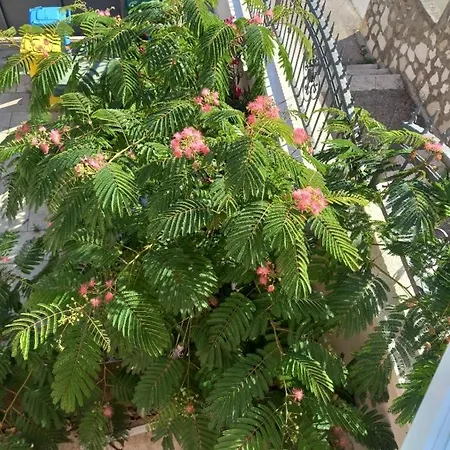 Apartamento Silvana Šibenik