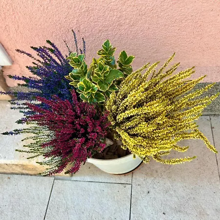 Appartement Silvana Šibenik
