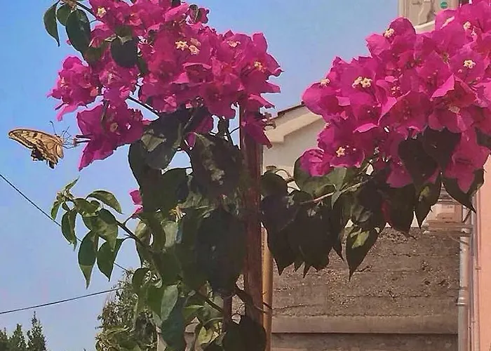 Silvana Διαμέρισμα *